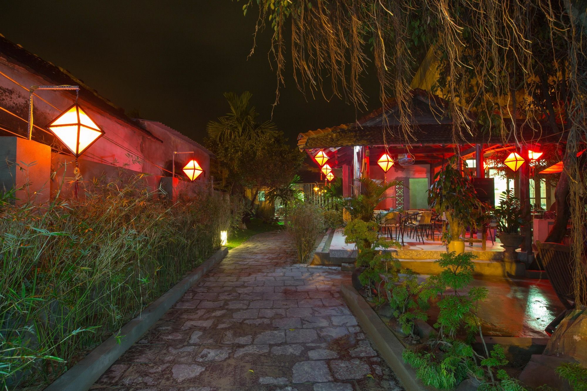 Herbal Tea Homestay Хой Ан Екстериор снимка